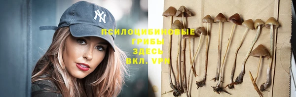 прущие крисы Белоозёрский