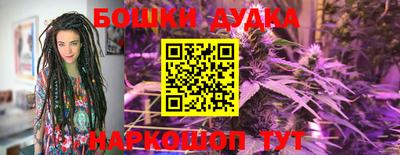 apvp Новозыбков