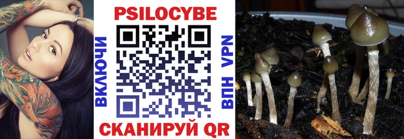 купить наркоту  Бутурлиновка  Галлюциногенные грибы Psilocybine cubensis 