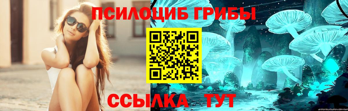 Бутурлиновка  Псилоцибиновые грибы MAGIC MUSHROOMS  Вход с VPN  Псилоцибиновые грибы мицелий 